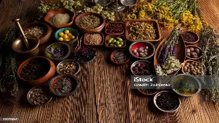 深度解析：桑拿的益处与健康生活方式 缩略图