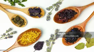 蜀地古韵：那些在推拿中寻迹的文人风骨 缩略图